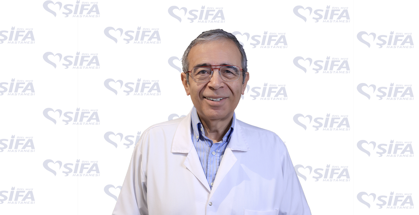 Mehmet Emin Soysal